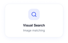 Visual Search